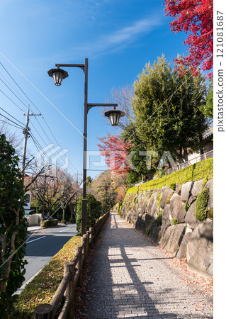 東京調布市深大寺元町5丁目深大寺通,從深大寺狛前十字路口通往深大寺的斜坡,冬日晴空秋葉 東京調布市深大寺元町5丁目深大寺通,從深大寺狛前十字路口通往深大寺的斜坡,冬日晴空秋葉 121081687