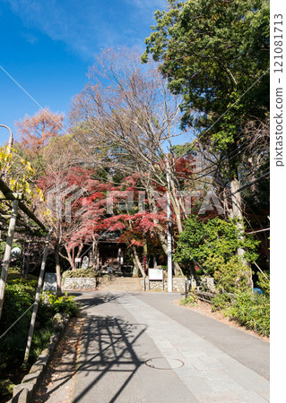 東京調布市深大寺元町的通往深大寺真社大廳的道路、晴朗的冬日天空和秋葉 東京調布市深大寺元町的通往深大寺真社大廳的道路、晴朗的冬日天空和秋葉 121081713