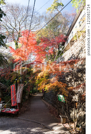 深大寺,一福茶屋旁的道路,晴朗的冬天天空和秋天的樹葉,東京調布市深大寺元町 深大寺,一福茶屋旁的道路,晴朗的冬天天空和秋天的樹葉,東京調布市深大寺元町 121081714