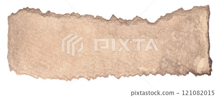 一塊看起來像樹皮的棕色碎片 121082015