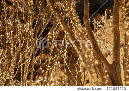 2024 SENDAI Pageant of Starlight Illuminations, Sendai City, Miyagi Prefecture 121083210