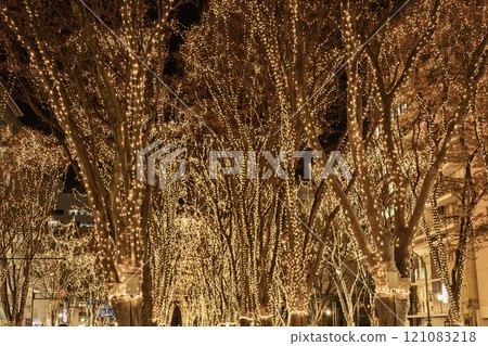 2024 SENDAI 燈光盛典 宮城縣仙台市 121083218