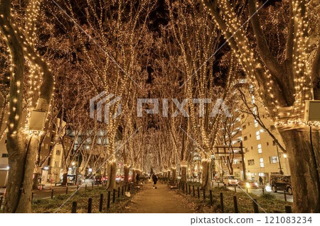 2024 SENDAI 燈光盛典 宮城縣仙台市 2024 SENDAI 燈光盛典 宮城縣仙台市 121083234