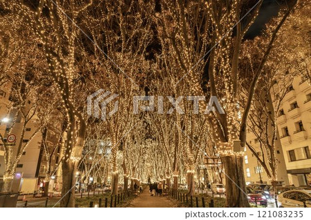 2024 SENDAI Pageant of Starlight Illuminations, Sendai City, Miyagi Prefecture 121083235