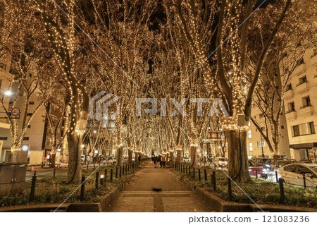 2024 SENDAI Pageant of Starlight Illuminations, Sendai City, Miyagi Prefecture 121083236