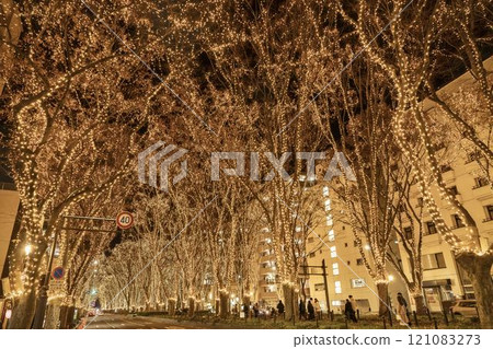 2024 SENDAI Pageant of Starlight Illuminations, Sendai City, Miyagi Prefecture 121083273