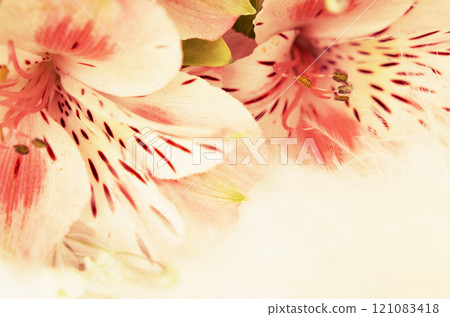 Pink flowers 121083418