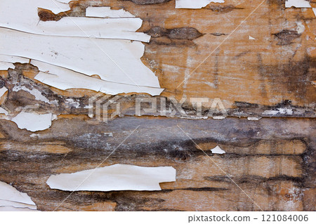 peeling texture of painted wood surface. old weathered background peeling texture of painted wood surface. old weathered background 121084006
