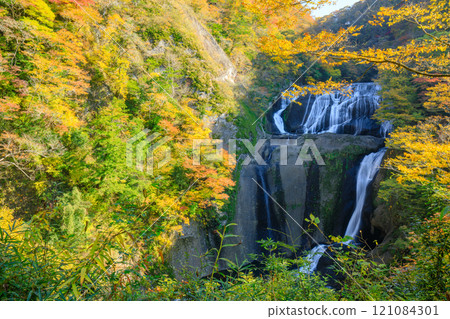 Fukuroda Falls in autumn, Daigo Town, Ibaraki Prefecture 121084301