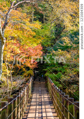 茨城縣高萩市秋季花貫溪谷 茨城縣高萩市秋季花貫溪谷 121084309