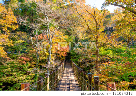 Autumn in Hananuki Valley, Takahagi City, Ibaraki Prefecture 121084312