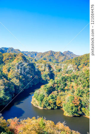 茨城縣常陸太田市龍神吊橋的秋景 121084476