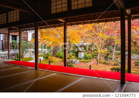 [Kyoto Scenery] Enkoji Temple - Breathtaking beauty of the spectacular autumn leaves 121084773