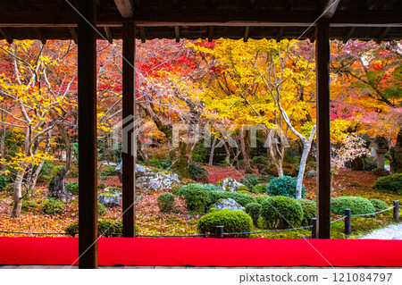 [Kyoto Scenery] Enkoji Temple - Breathtaking beauty of the spectacular autumn leaves 121084797