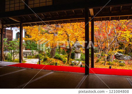 [Kyoto Scenery] Enkoji Temple - Breathtaking beauty of the spectacular autumn leaves 121084808