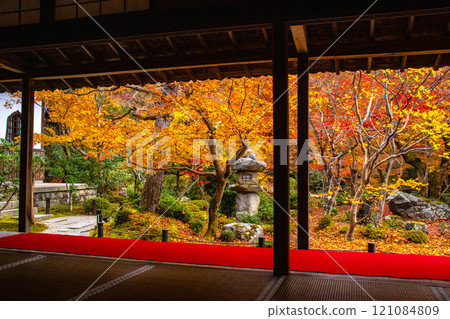 [Kyoto Scenery] Enkoji Temple - Breathtaking beauty of the spectacular autumn leaves 121084809