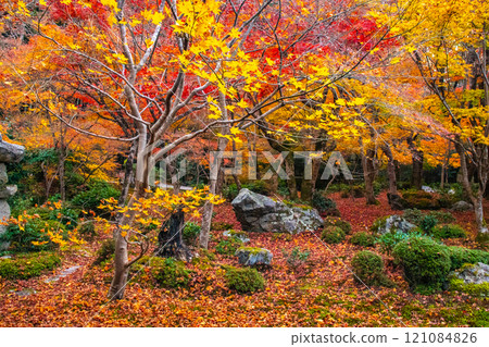 【京都風景】圓光寺－紅葉美得讓人窒息 121084826