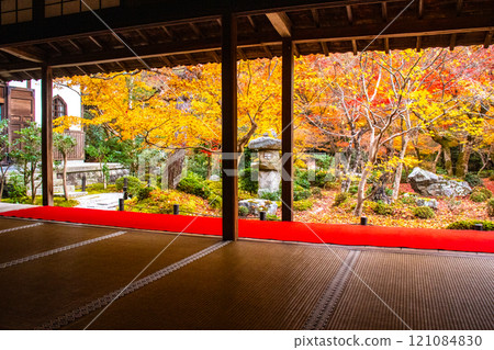 [Kyoto Scenery] Enkoji Temple - Breathtaking beauty of the spectacular autumn leaves 121084830