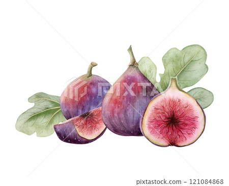 Juicy Figs with leaves watercolor isolated illustration. Delicious purple summer whole fruits and slices with realistic pulp botanical drawings. Tropical gourmet food clipart for product designs 121084868