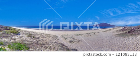 Golden Coast beach panorama with expansive sandy shore and ocean waves 121085118