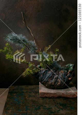 Pine ikebana with spruce branches 121085530