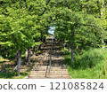 Stairs wrapped in fresh green 121085824
