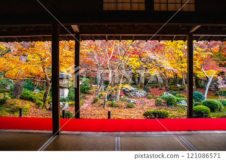 [Kyoto Scenery] Enkoji Temple - Breathtaking beauty of the spectacular autumn leaves 121086571