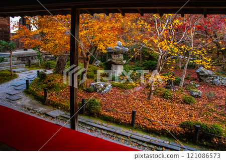 [Kyoto Scenery] Enkoji Temple - Breathtaking beauty of the spectacular autumn leaves 121086573