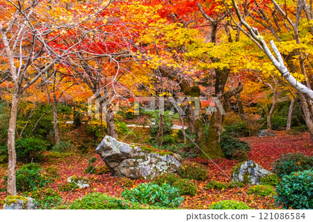[Kyoto Scenery] Enkoji Temple - Breathtaking beauty of the spectacular autumn leaves 121086584