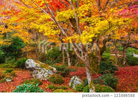 【京都風景】圓光寺-紅葉美得讓人窒息 【京都風景】圓光寺-紅葉美得讓人窒息 121086588