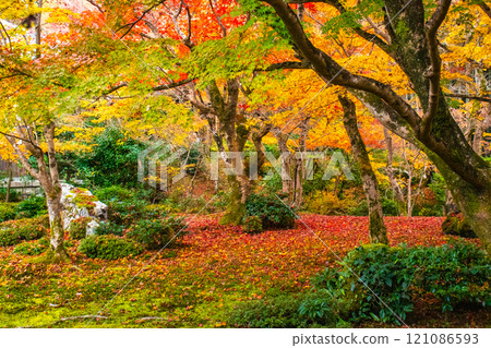 【京都風景】圓光寺-紅葉美得讓人窒息 【京都風景】圓光寺-紅葉美得讓人窒息 121086593