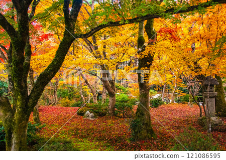 【京都風景】圓光寺-紅葉美得讓人窒息 【京都風景】圓光寺-紅葉美得讓人窒息 121086595