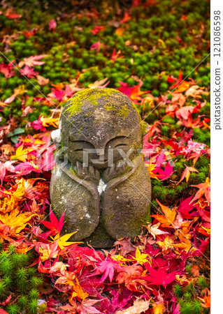[Kyoto Scenery] Enkoji Temple - Breathtaking beauty of the spectacular autumn leaves 121086598