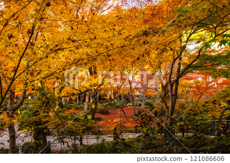 【京都風景】圓光寺－紅葉美得讓人窒息 121086606