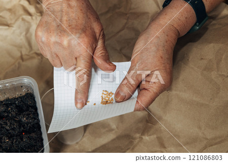 Kraft paper background, fertile soil and garden tools, top view. Hands planting seeds 121086803