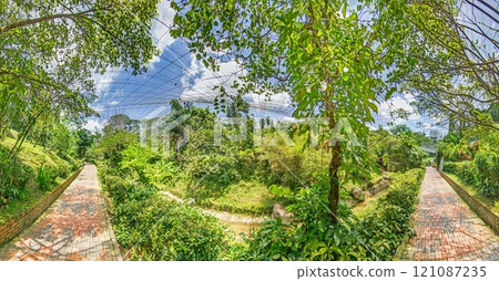 Scenic view of Kuala Lumpur Bird Park's lush greenery and pathways under a net canopy Scenic view of Kuala Lumpur Bird Park's lush greenery and pathways under a net canopy 121087235