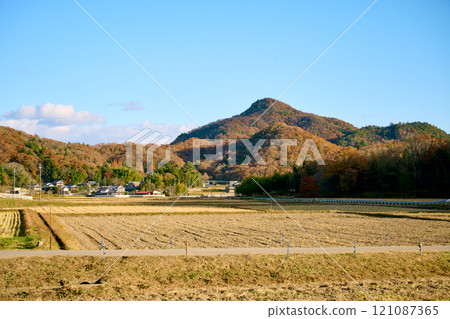 冬季稻田和里山 冬季稻田和里山 121087365