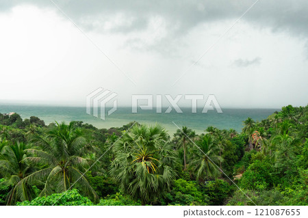 Enjoy the serene view of lush greenery meeting the ocean, creating a tranquil atmosphere. 121087655