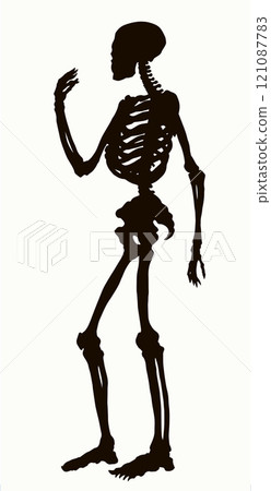Human skeleton. Vector schematic drawing 121087783