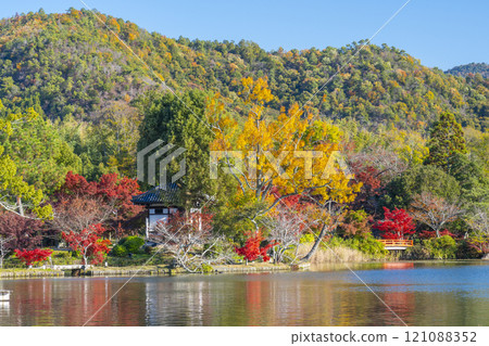 秋天的京都、大覺寺、秋葉覆蓋的大澤池 秋天的京都、大覺寺、秋葉覆蓋的大澤池 121088352