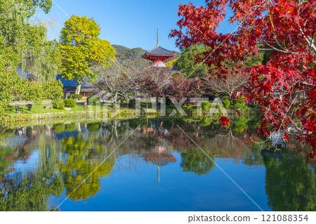 Autumn in Kyoto, Daikakuji Temple, Heart Sutra Pagoda reflected in Hojo Pond Autumn in Kyoto, Daikakuji Temple, Heart Sutra Pagoda reflected in Hojo Pond 121088354