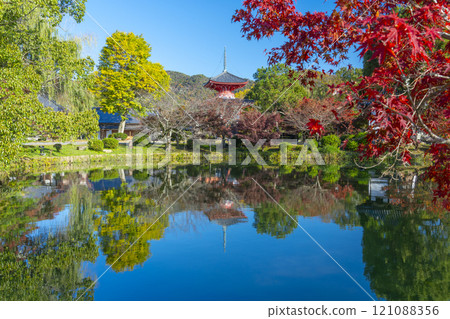 Autumn in Kyoto, Daikakuji Temple, Heart Sutra Pagoda reflected in Hojo Pond Autumn in Kyoto, Daikakuji Temple, Heart Sutra Pagoda reflected in Hojo Pond 121088356