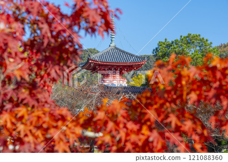 Autumn in Kyoto: Daikakuji Temple - Heart Sutra Pagoda surrounded by autumn leaves Autumn in Kyoto: Daikakuji Temple - Heart Sutra Pagoda surrounded by autumn leaves 121088360