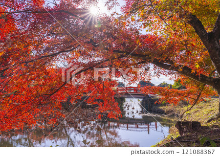 Autumn in Kyoto: Daikakuji Temple - Tenjin Island in the Osawa Pond area, surrounded by autumn leaves 121088367