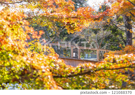 Autumn in Kyoto: Daikakuji Temple, Nagoso Bridge surrounded by autumn leaves Autumn in Kyoto: Daikakuji Temple, Nagoso Bridge surrounded by autumn leaves 121088370