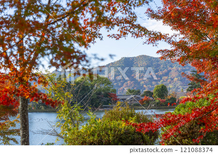 秋天的京都、大覺寺、秋葉覆蓋的大澤池 121088374