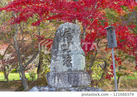 Autumn in Kyoto, Daikakuji Temple, Tea whisk mound built on Tenjin Island of Osawa Pond 121088379