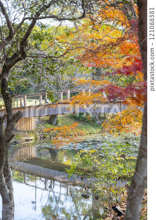 秋天的京都、大覺寺、被秋葉覆蓋的名古總橋 秋天的京都、大覺寺、被秋葉覆蓋的名古總橋 121088381