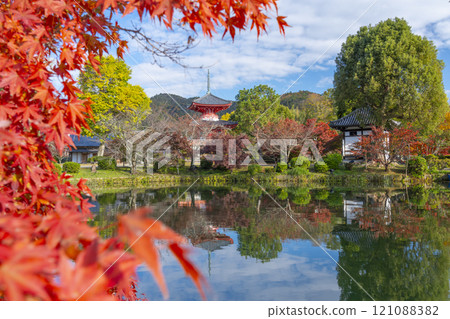 京都的秋天,大覺寺,神橋寶塔倒映在北條池中 京都的秋天,大覺寺,神橋寶塔倒映在北條池中 121088382