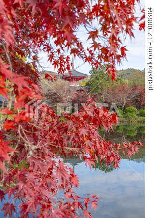 京都的秋天，大覺寺，神橋寶塔倒映在北條池中 121088384